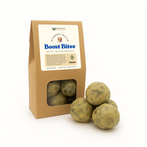Blueberry Muffin BOOST BITES Snack Balls